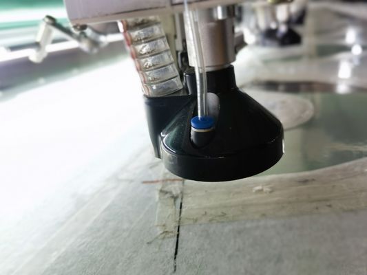 40W-80W laser snijden borduurmachine 20 hoofd voor 2 lagen stof snijden